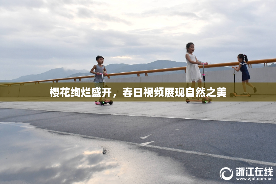 樱花绚烂盛开，春日视频展现自然之美