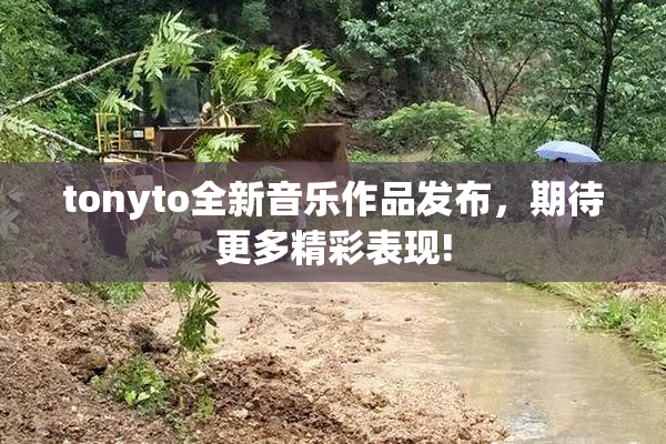 tonyto全新音乐作品发布，期待更多精彩表现!