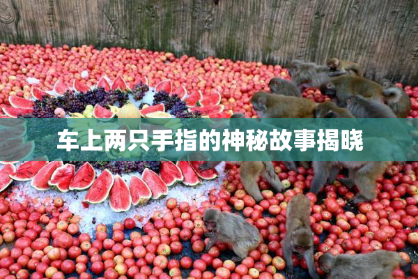 车上两只手指的神秘故事揭晓