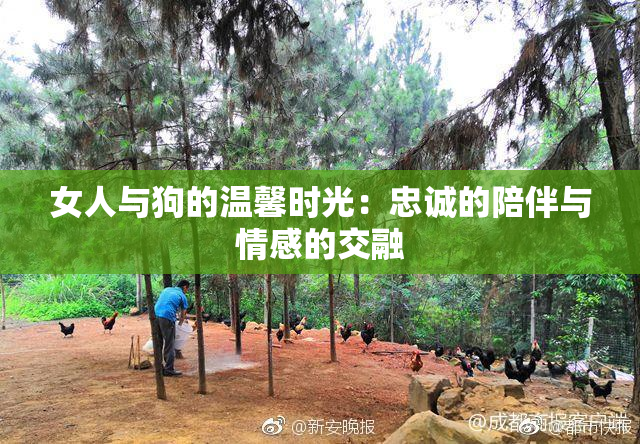 女人与狗的温馨时光：忠诚的陪伴与情感的交融