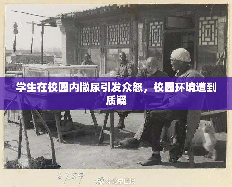 学生在校园内撒尿引发众怒，校园环境遭到质疑