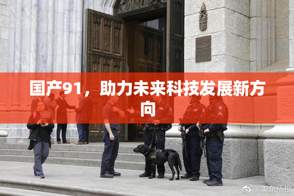 国产91，助力未来科技发展新方向