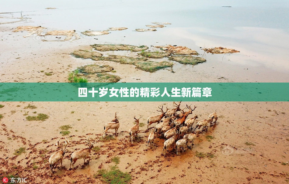 四十岁女性的精彩人生新篇章