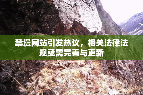 禁漫网站引发热议，相关法律法规亟需完善与更新
