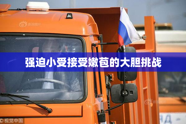强迫小受接受嫩苞的大胆挑战