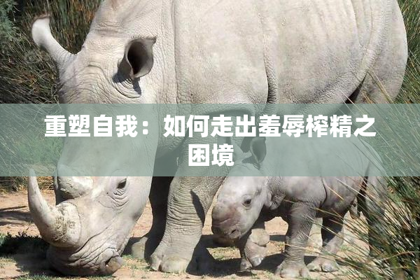 重塑自我：如何走出羞辱榨精之困境