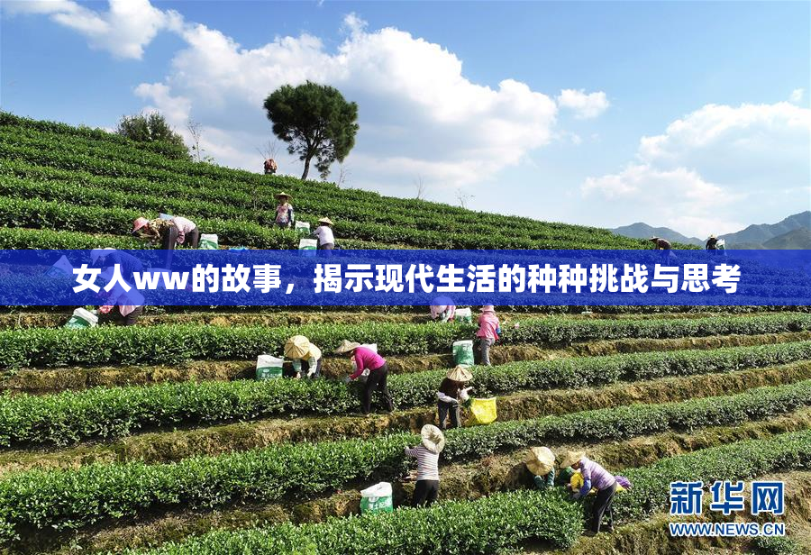 女人ww的故事，揭示现代生活的种种挑战与思考