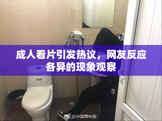 成人看片引发热议，网友反应各异的现象观察