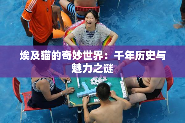 埃及猫的奇妙世界：千年历史与魅力之谜