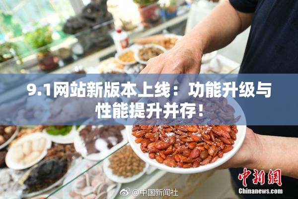 9.1网站新版本上线：功能升级与性能提升并存！