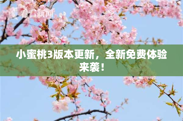 小蜜桃3版本更新，全新免费体验来袭！