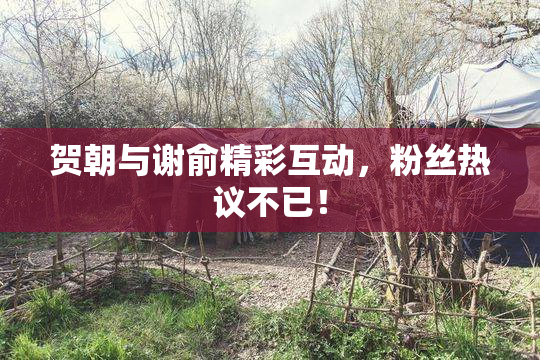 贺朝与谢俞精彩互动，粉丝热议不已！
