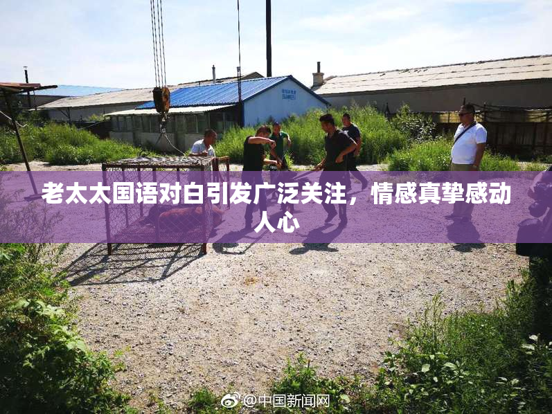 老太太国语对白引发广泛关注，情感真挚感动人心