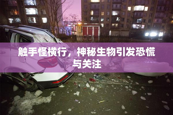 触手怪横行，神秘生物引发恐慌与关注