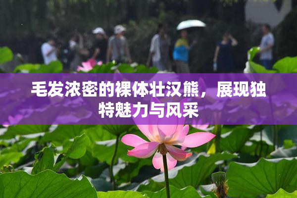毛发浓密的裸体壮汉熊，展现独特魅力与风采