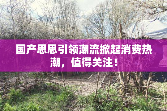 国产思思引领潮流掀起消费热潮，值得关注！