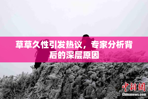草草久性引发热议，专家分析背后的深层原因