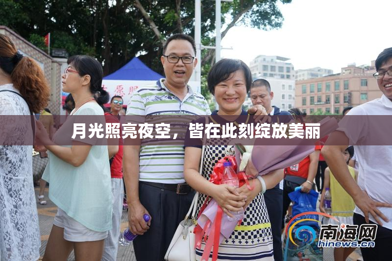 月光照亮夜空，皆在此刻绽放美丽