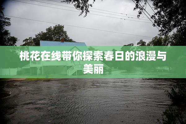 桃花在线带你探索春日的浪漫与美丽