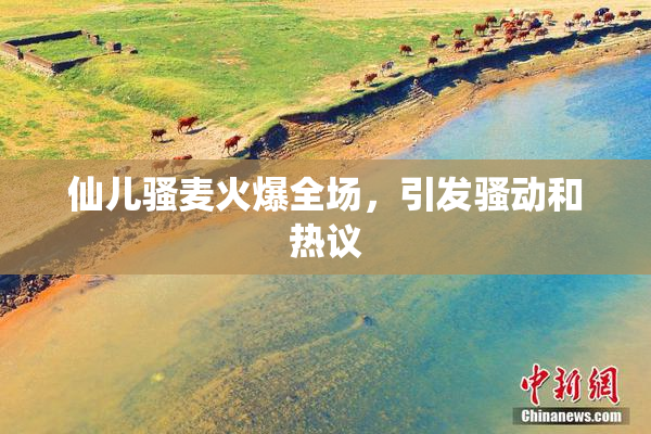 仙儿骚麦火爆全场，引发骚动和热议