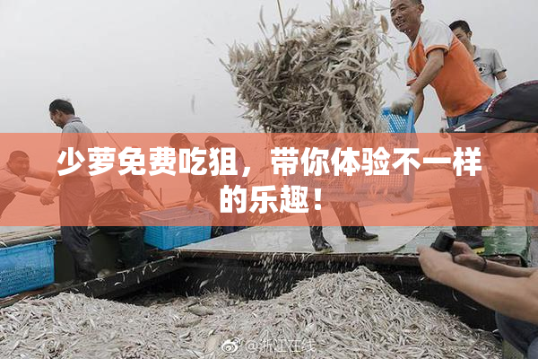 少萝免费吃狙，带你体验不一样的乐趣！