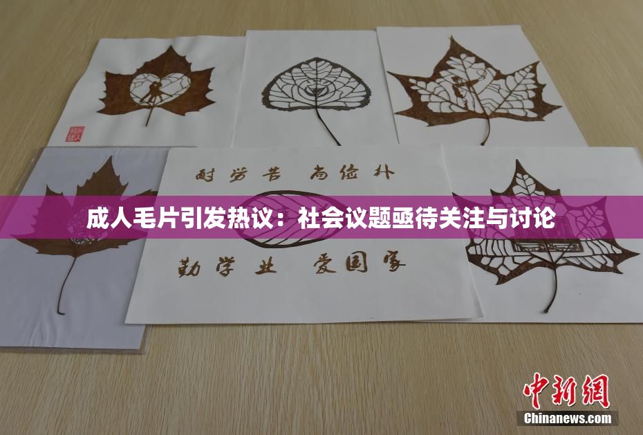 成人毛片引发热议：社会议题亟待关注与讨论