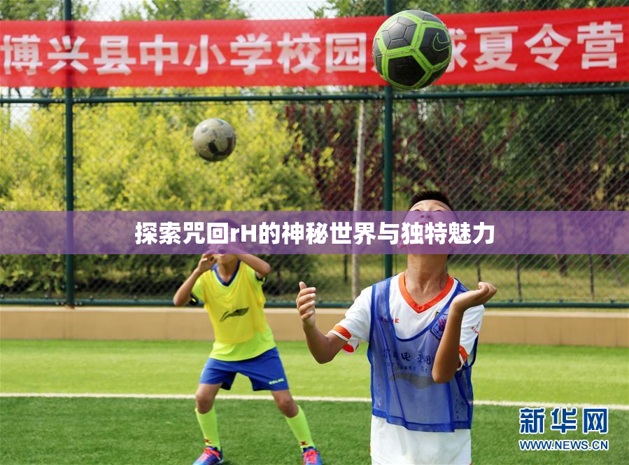 探索咒回rH的神秘世界与独特魅力
