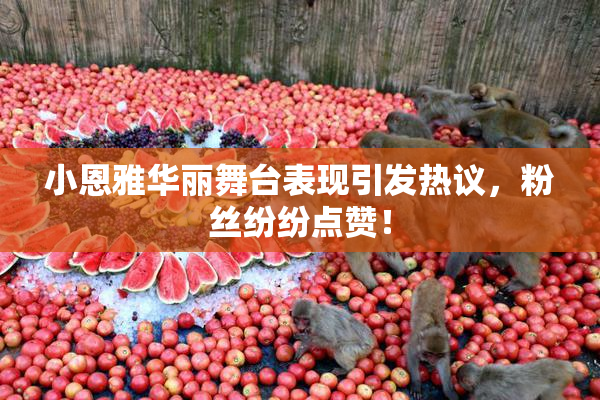小恩雅华丽舞台表现引发热议，粉丝纷纷点赞！