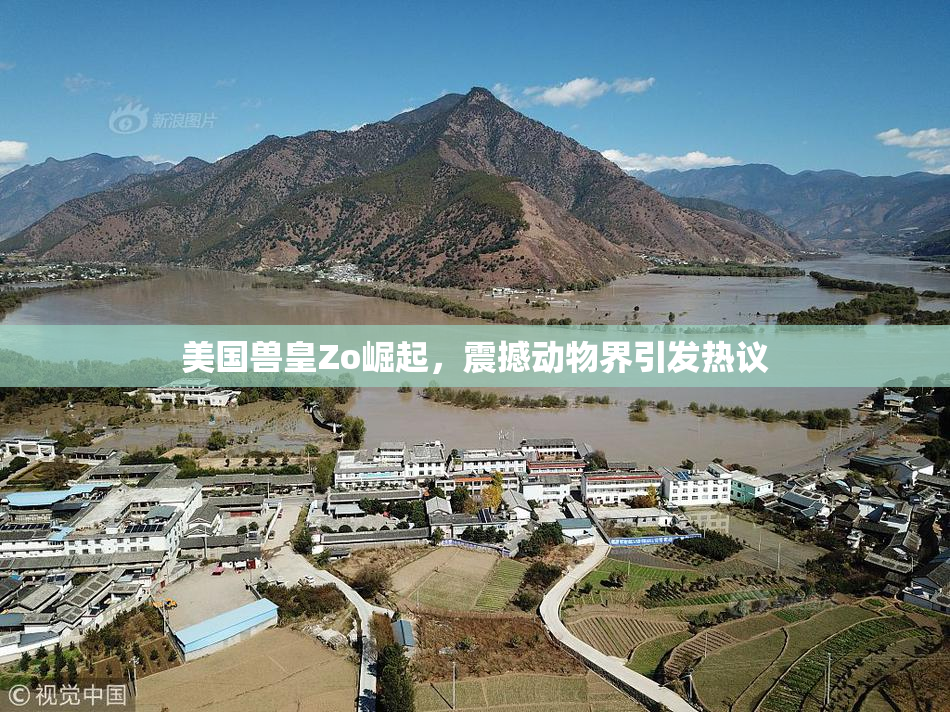 美国兽皇Zo崛起，震撼动物界引发热议