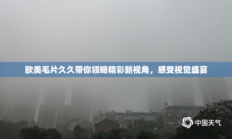 欧美毛片久久带你领略精彩新视角，感受视觉盛宴