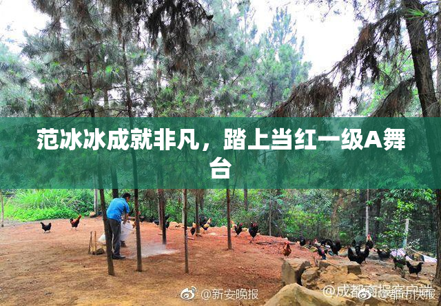 范冰冰成就非凡，踏上当红一级A舞台