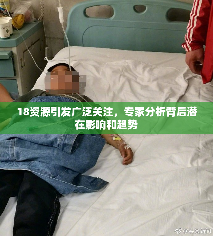 18资源引发广泛关注，专家分析背后潜在影响和趋势