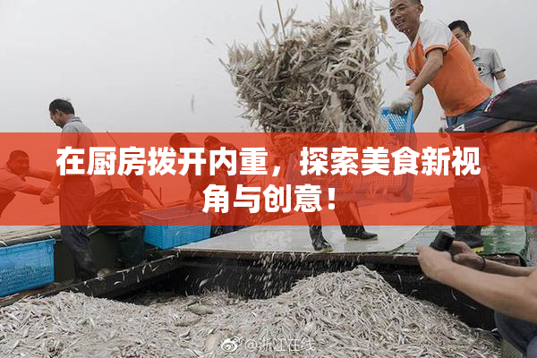 在厨房拨开内重，探索美食新视角与创意！
