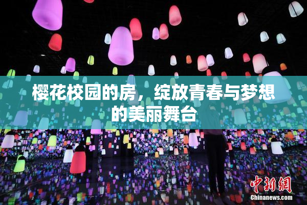 樱花校园的房，绽放青春与梦想的美丽舞台