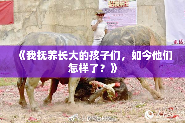 《我抚养长大的孩子们，如今他们怎样了？》
