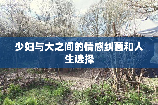 少妇与大之间的情感纠葛和人生选择