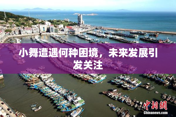 小舞遭遇何种困境，未来发展引发关注