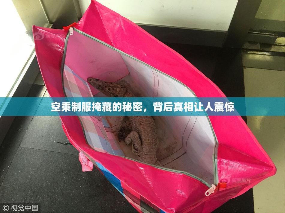 空乘制服掩藏的秘密，背后真相让人震惊