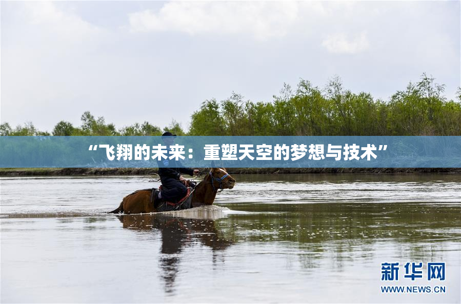 “飞翔的未来：重塑天空的梦想与技术”
