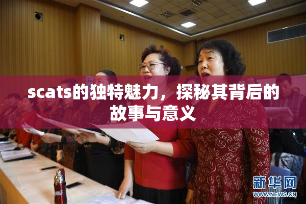 scats的独特魅力，探秘其背后的故事与意义
