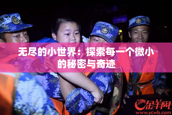 无尽的小世界：探索每一个微小的秘密与奇迹