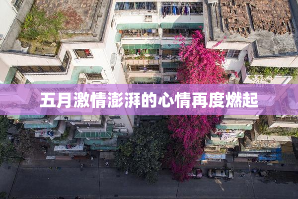 五月激情澎湃的心情再度燃起