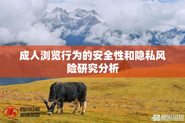 成人浏览行为的安全性和隐私风险研究分析
