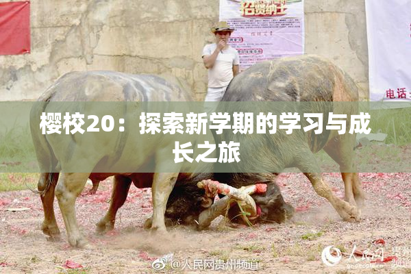 樱校20：探索新学期的学习与成长之旅