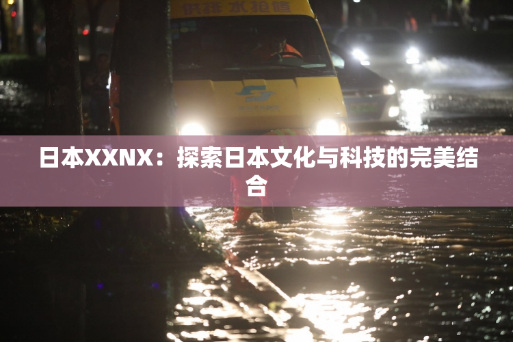 日本XXNX：探索日本文化与科技的完美结合