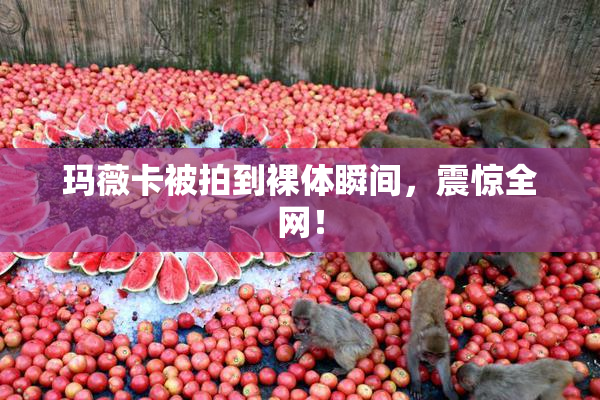 玛薇卡被拍到裸体瞬间，震惊全网！