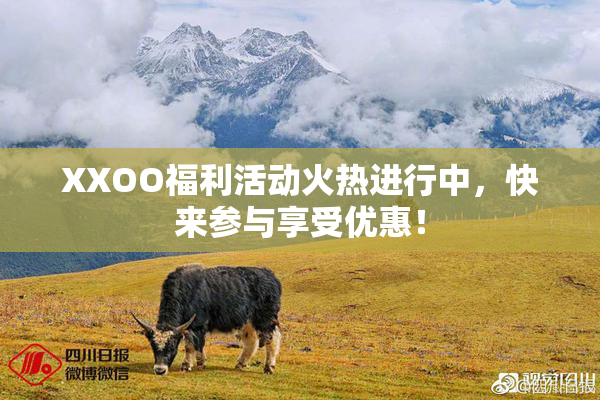 XXOO福利活动火热进行中，快来参与享受优惠！