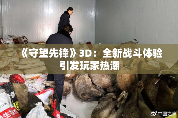 《守望先锋》3D：全新战斗体验引发玩家热潮