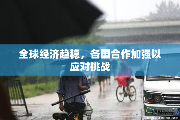 全球经济趋稳，各国合作加强以应对挑战