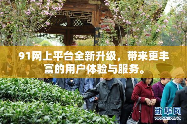 91网上平台全新升级，带来更丰富的用户体验与服务。